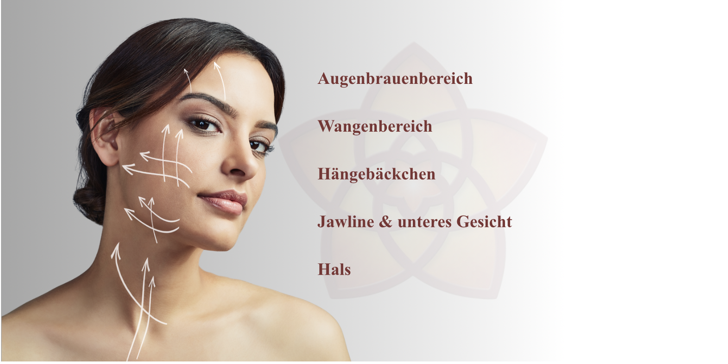 Mögliche Behandlungsbereiche beim Fadenlifting