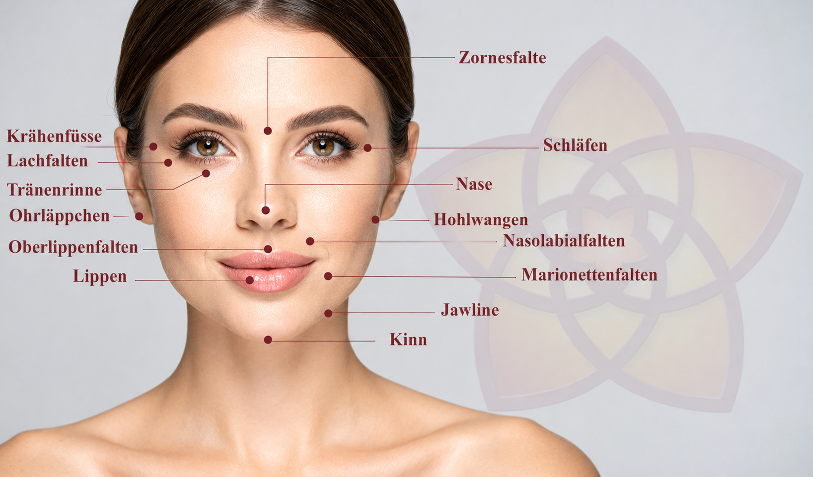 Gesichtszonen für Hyaluron-Behandlungen